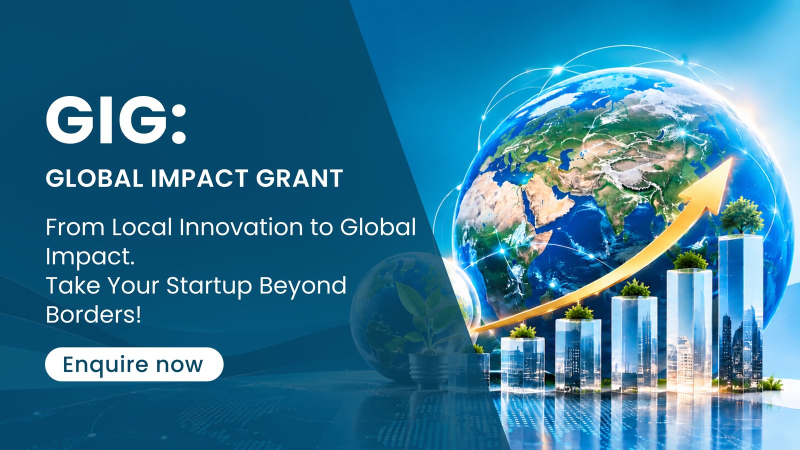 Global Impact Grant - Business Funding